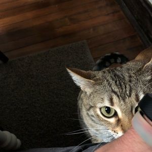 Meet your Posher, Jeffrey